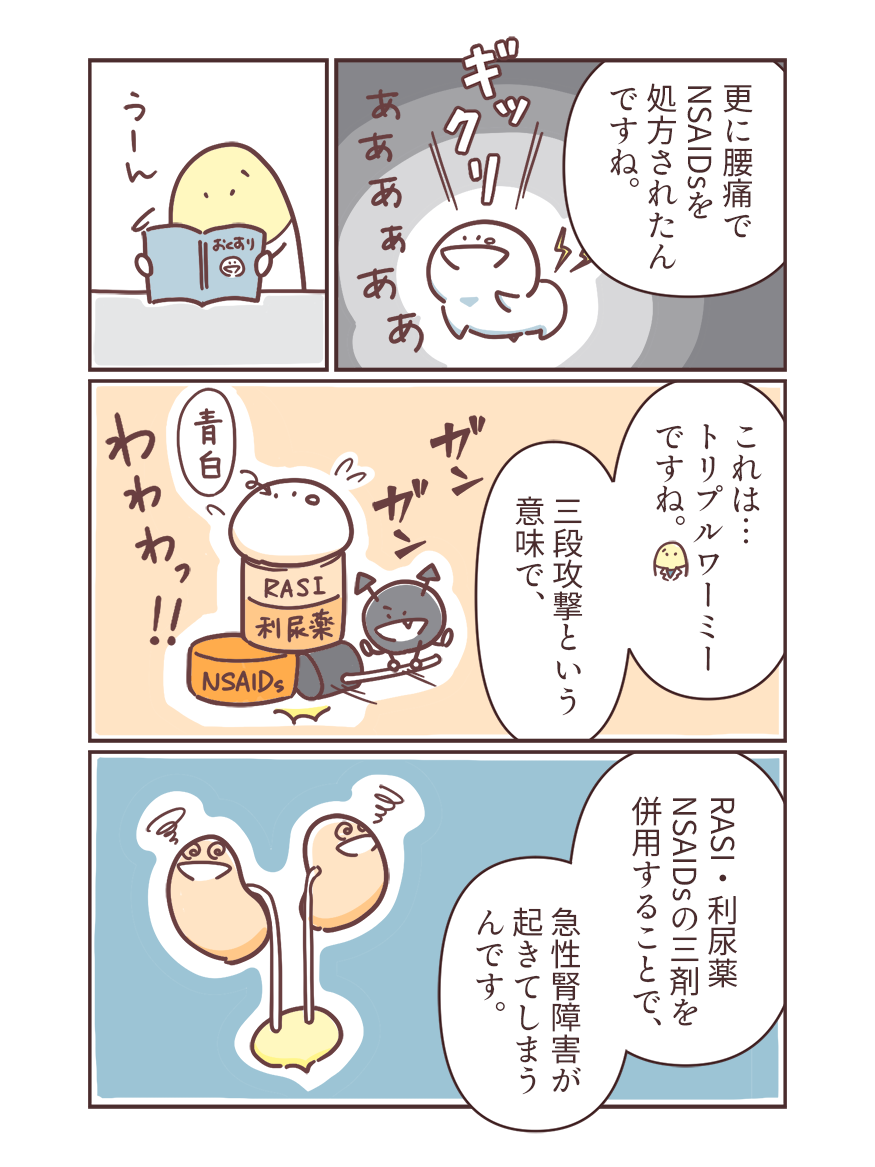 RASI+利尿薬+NSAIDs「トリプルワーミー」が引き起こす急性腎障害リスクの画像4