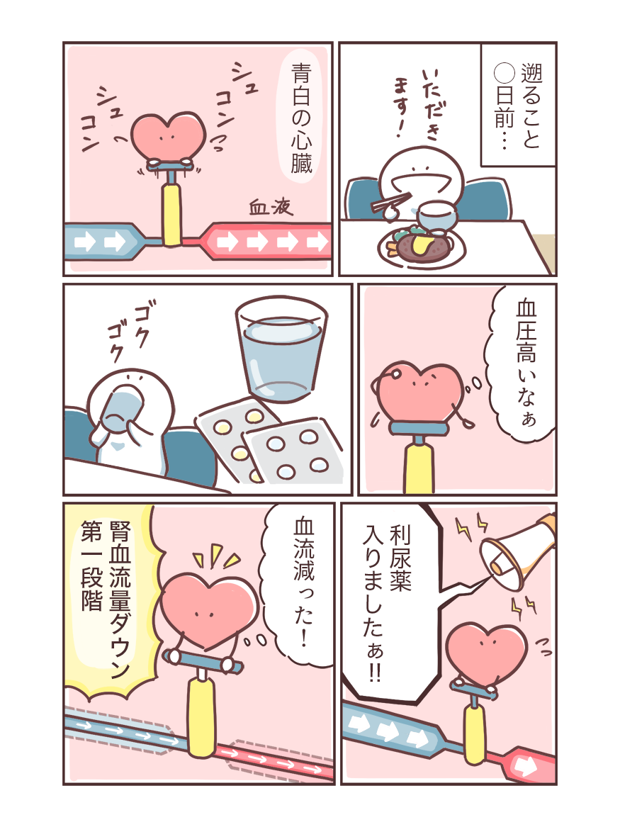 RASI+利尿薬+NSAIDs「トリプルワーミー」が引き起こす急性腎障害リスクの画像5