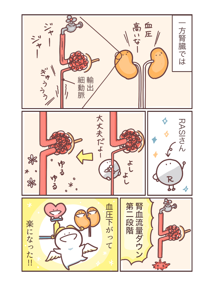 RASI+利尿薬+NSAIDs「トリプルワーミー」が引き起こす急性腎障害リスクの画像6