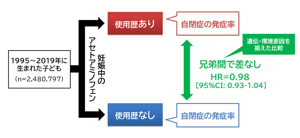 妊娠中のアセトアミノフェン使用歴に関するスウェーデンの研究解説図／児島悠史作成