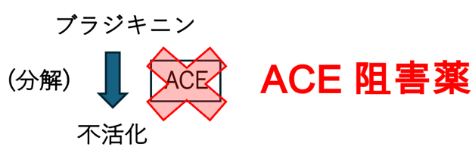 ACE阻害薬の空咳！なぜARBで止まる？薬剤師の対応フローの画像