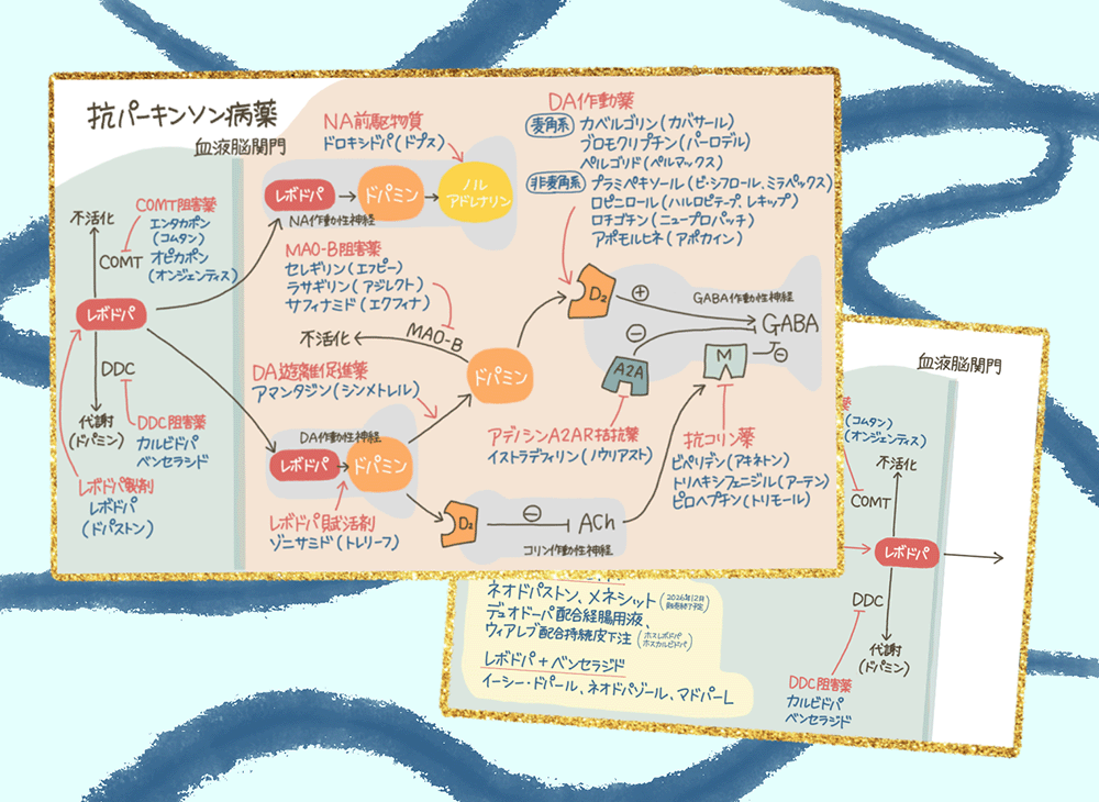 【保存版】抗パーキンソン病薬の末梢作用と配合剤の比率まとめの画像