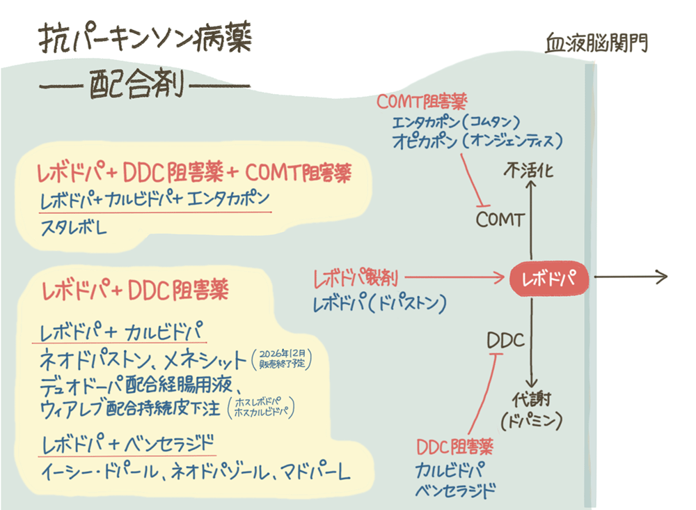 抗パーキンソン病薬の配合剤まとめ。「DDC阻害薬」「COMT阻害薬」「3剤配合剤」がある