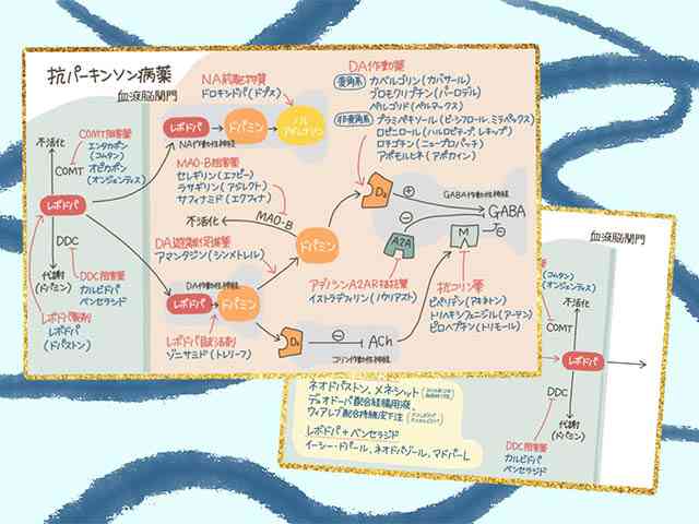 抗パーキンソン病薬（末梢編）と配合剤の比率の画像