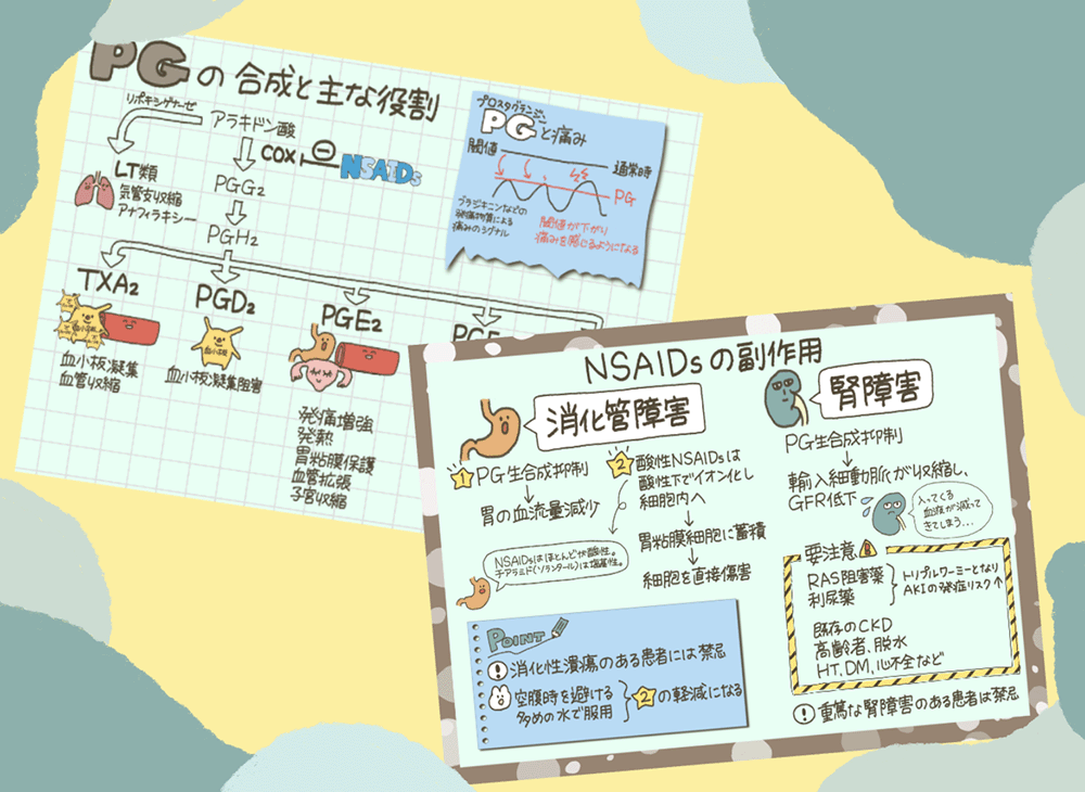 NSAIDs副作用のメカニズムを再整理しよう（前編）の画像