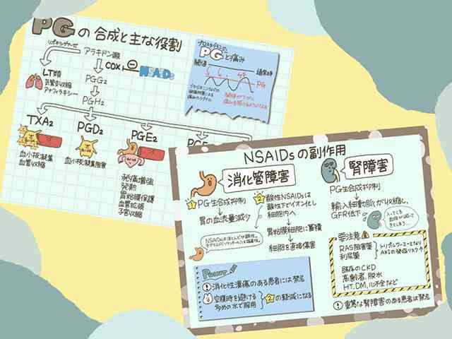 薬剤師くるみぱんの勉強ノートの画像