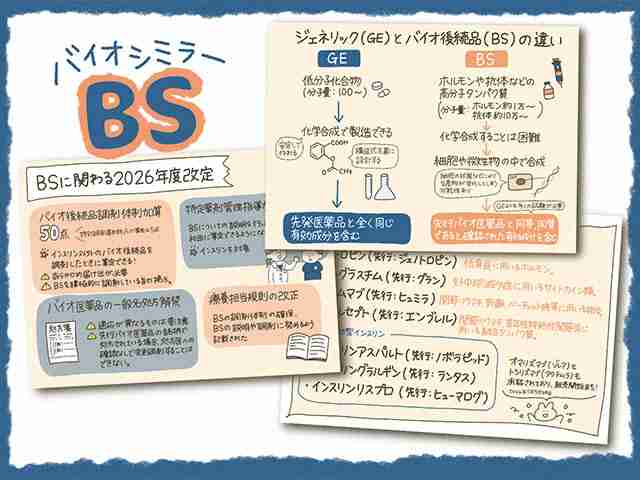 26改定｜バイオ後続品加算の算定フローと対象薬の画像