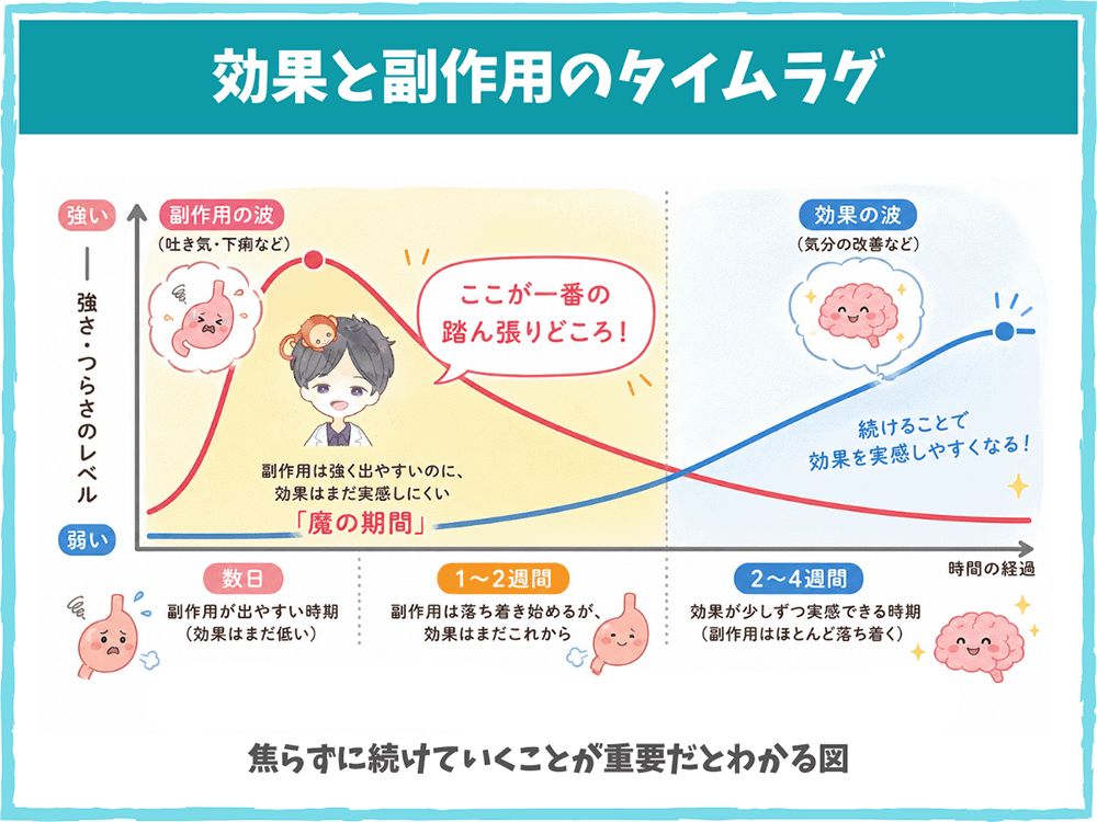 抗うつ薬（SSRI/SNRI）の効果と副作用のタイムラグ曲線