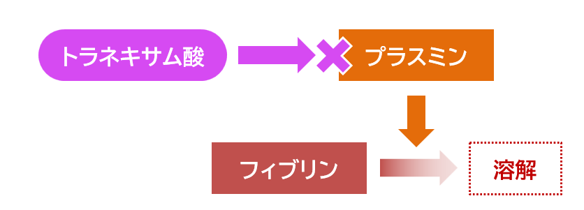 トラネキサム酸による止血効果のメカニズム解説図／児島悠史