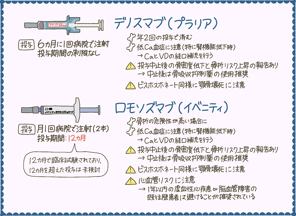 「プラリア（デノスマブ）」とイベニティ（ロモソズマブ）の特徴