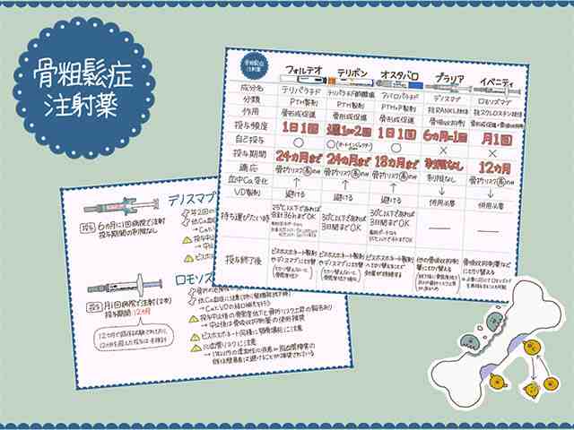 プラリアとイベニティの使い分け！主要5剤比較表の画像