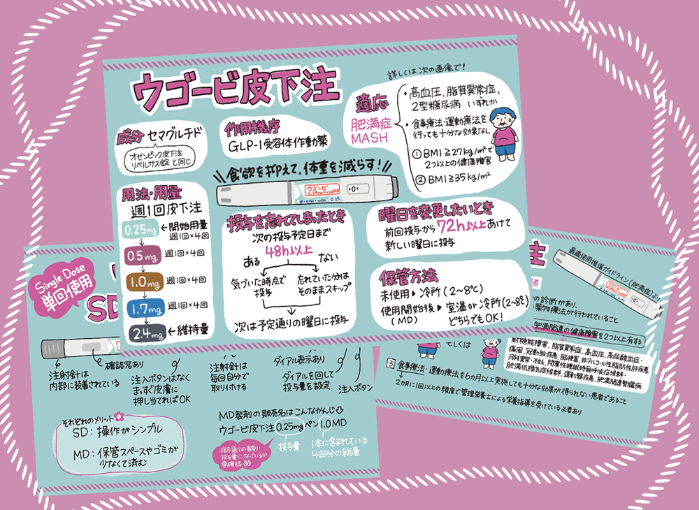 肥満症治療でウゴービはどう使う？SD・MDの違いや服薬指導のポイント5つの画像