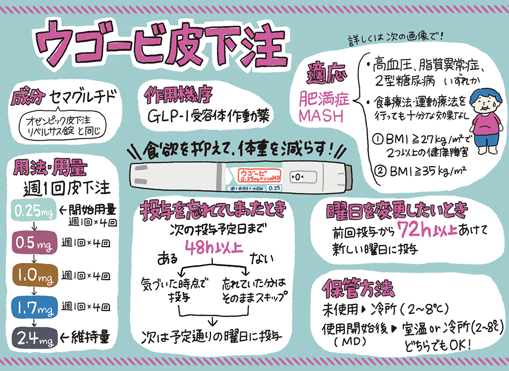 「ウゴービ皮下注」の成分や作用機序、投与スケジュールなどの基本情報
